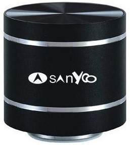  Sanyoo D1BT