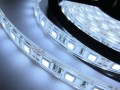 Светодиодная лента 5050, 60 led/m, 12v, IP20, холодный белый