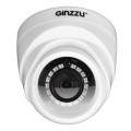   Ginzzu HAD-2031P